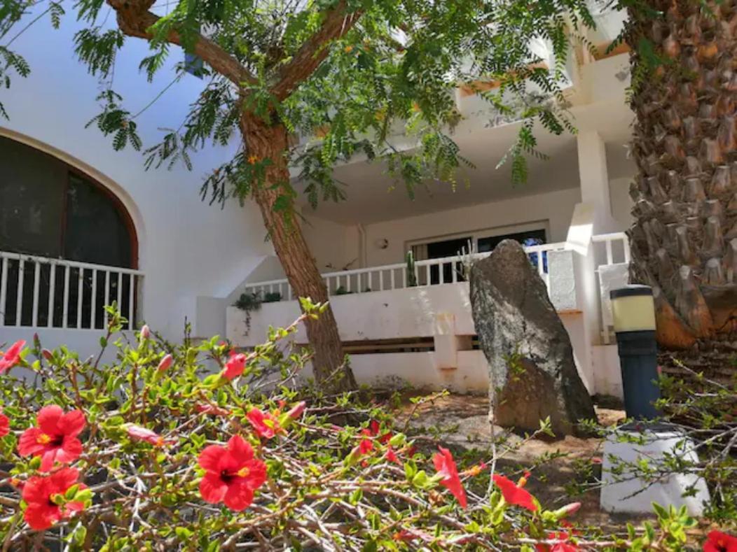 Comfortable Cleo Apartment With Large Terrace Costa Teguise Bagian luar foto